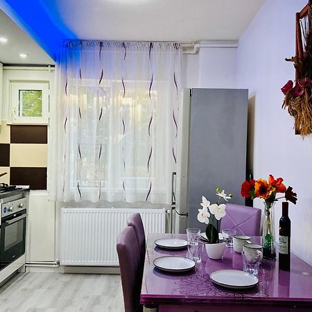 Joy City Stay Spacious Comfortable Timişoara Exterior foto